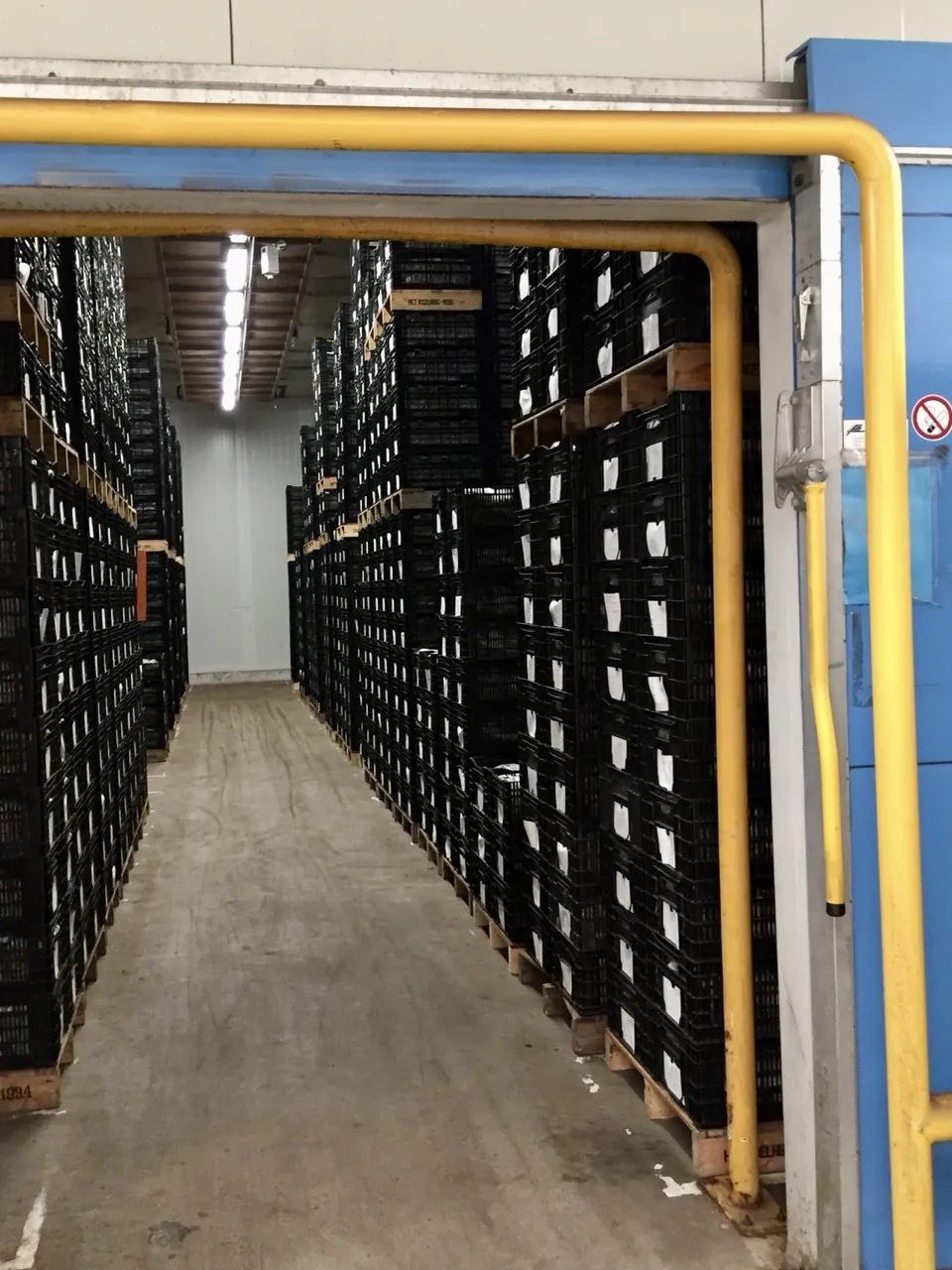 Visueel agri WMS met partijlocaties in koelcellen